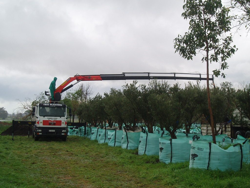 Transporting and transplanting trees
