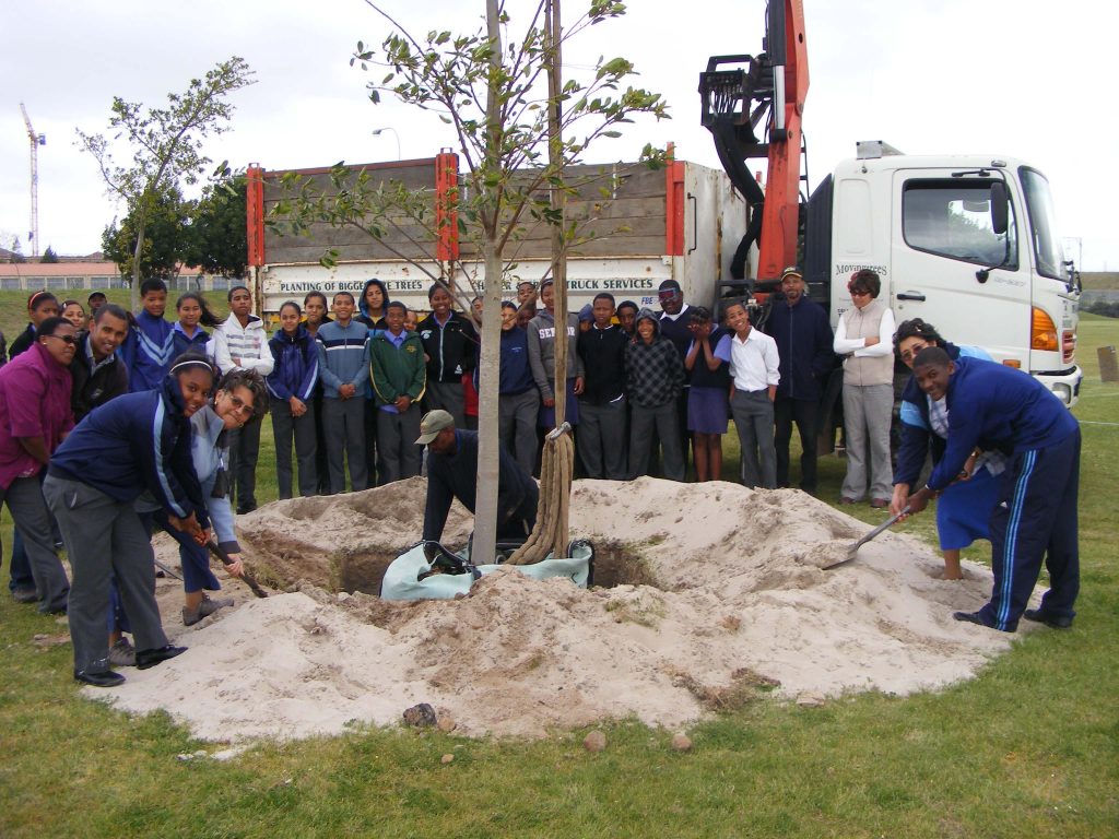 Planting Trees Arbor Day