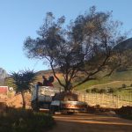 Crane Truck Hire, Tree Suppliers