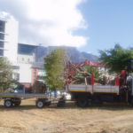 Crane Truck Hire, Tree Felling