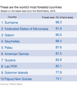 World Trees, World Forestsworld